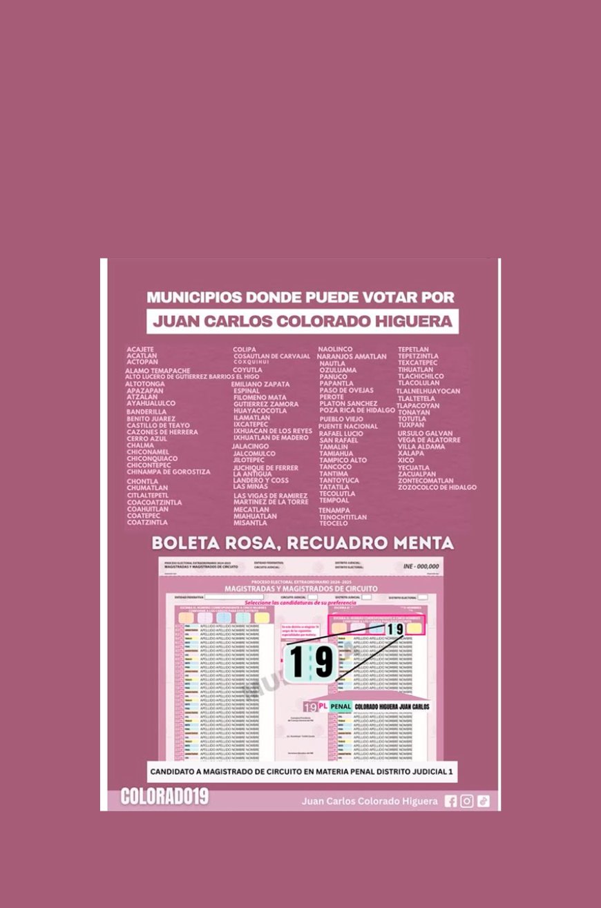 VOTA 19 , PENAL